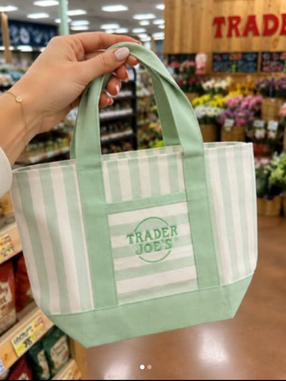Trader Joe's Green Striped Canvas Tote
